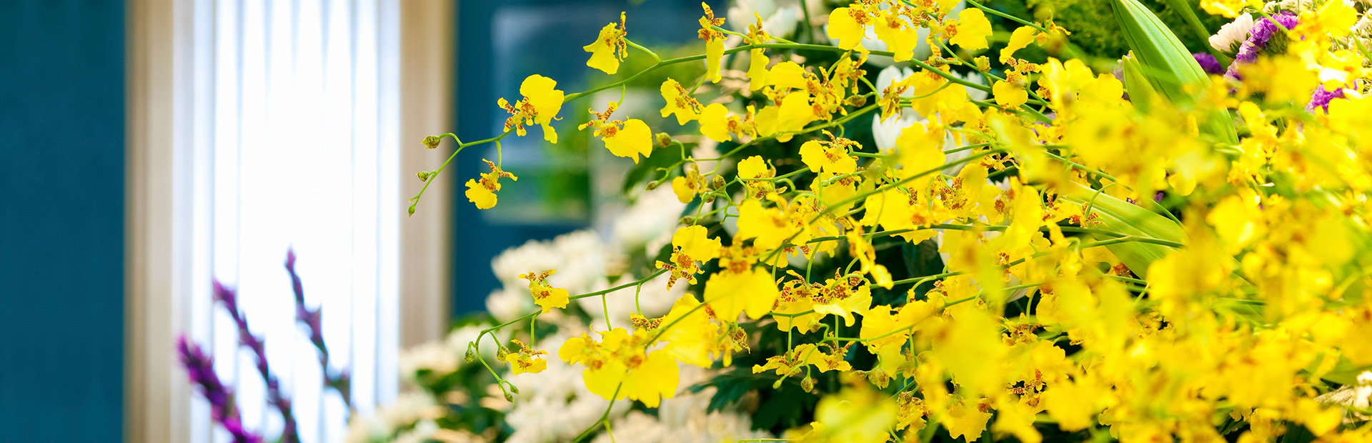 家族葬のはるか